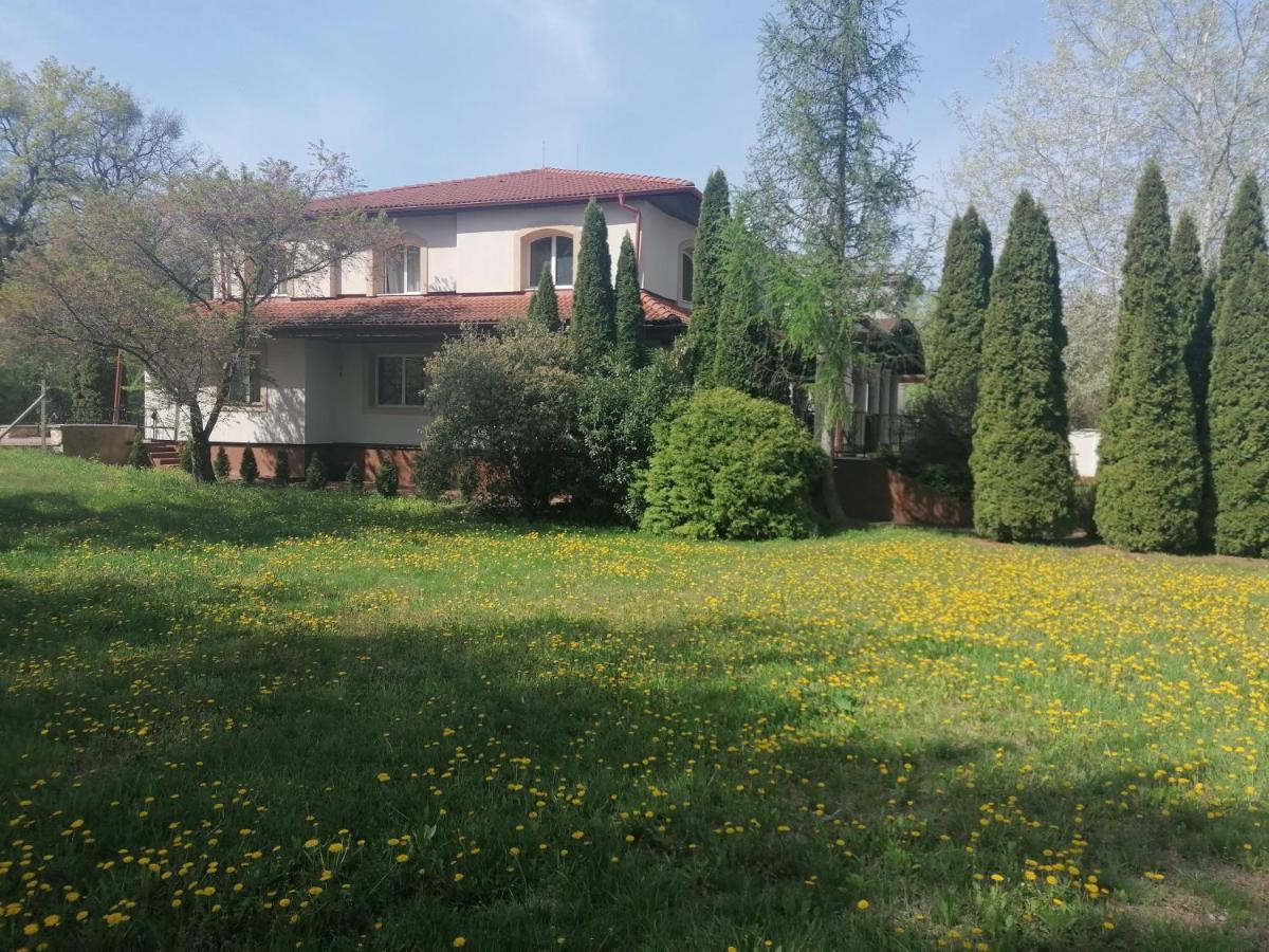 Staff Guest House Nyíregyháza Buitenkant foto